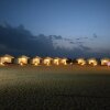 Отель Seven Palms Desert Camp, фото 29