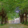 Отель Villa Fontalba, фото 25