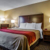 Отель Comfort Inn, фото 7