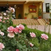 Отель Pension Sunrise, фото 6