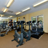 Отель Comfort Inn & Suites Near Universal Orlando Resort - Convention Ctr, фото 21