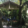Отель Pousada Mangue Sereno, фото 26