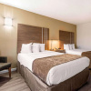 Отель Rodeway Inn & Suites Fort Lauderdale Airport & Cruise Port, фото 42