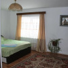 Отель Pensiunea Alecsandra, фото 4