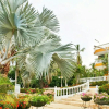 Отель Campestre Villa Martha в Турбако