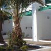 Отель Apartamentos Las Palmeras, фото 1