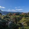 Отель Family Fun at The Lake - Lake Tarawera Holiday Home, фото 2