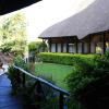 Отель Elephants Footprint Lodge, фото 6