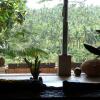 Отель Green Spirit Villa, фото 21