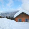 Отель Mt. Revelstoke Alpine Chalets, фото 16