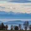 Отель Bio- und Wellnesshotel Alpenblick, фото 4