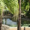 Отель Royal Palm Villas Cairns, фото 7