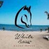 Отель White Horse Guest House, фото 19