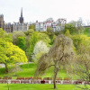 Отель Grand Edinburgh Castlehill Apartment, фото 21