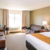 Отель Comfort Inn And Suites Custer, фото 6