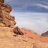 Отель Bedouin Host Camp, фото 21