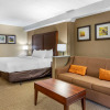 Отель Comfort Inn & Suites near Danville Mall, фото 3