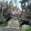 Отель Waldchalet am Eichhof в Наттерс