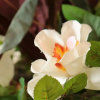 Отель B&B Pietrarsa, фото 6