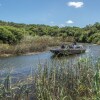 Отель Kariega Game Reserve Settlers Drift, фото 39