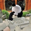 Отель Panda Inn E'Mei City, фото 8