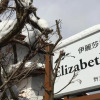 Отель Elizabeth, фото 1