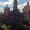 Отель Casa Oratorio Antigua, фото 1