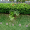 Отель Residencial Monte Verde, фото 23