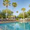 Отель Galleria Palms Hotel, фото 16