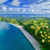 Отель Golden Pineapple Villas, фото 17