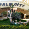 Отель Palm City Guesthouse, фото 19