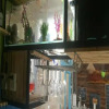 Отель Dali No. 12 Time International Youth Hostel, фото 28
