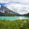 Отель Emerald Lake Lodge, фото 18