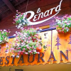 Отель Hôtel le Renard, фото 1