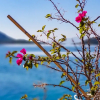 Отель Moonlight Boutique Hotel-Bozburun, фото 15