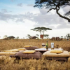 Отель Pumzika Luxury Safari Camp - East Africa Camps, фото 19