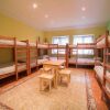 Гостиница Crazy Dog Hostel, фото 5