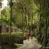 Отель Dusit Thani Laguna Phuket, фото 5