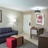 Отель Homewood Suites by Hilton Atlanta-Peachtree, фото 2