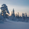 Отель Lapland Hotels Kuopio, фото 21