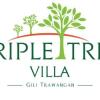 Отель Triple Tree Villa, фото 1