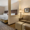 Отель Comfort Inn & Suites Pittsburgh-Northshore, фото 22