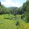 Отель Cozy Chalet in Bohan Near Forest, фото 23