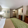 Отель Comfort Inn & Suites At Dollywood Lane, фото 5