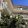 Отель Makarska, фото 12