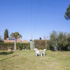 Отель Casa Malva 5  with garden near Portoferraio-CASA MALVA, фото 11