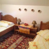 Отель Pensiunea Turlas Maria, фото 9