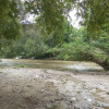 Отель Tayrona Cachaco River, фото 20