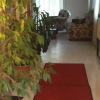 Отель Motel Papaleo, фото 2