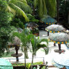 Отель Palm Village Resort, фото 11